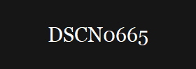 DSCN0665