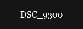 DSC_9300