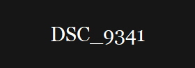 DSC_9341