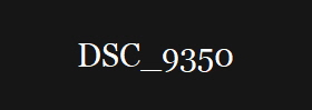DSC_9350