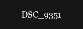 DSC_9351