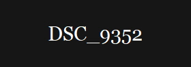 DSC_9352