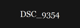 DSC_9354