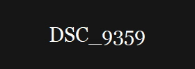 DSC_9359