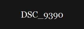 DSC_9390