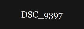 DSC_9397