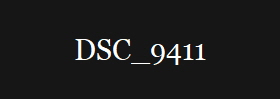 DSC_9411