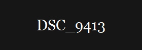 DSC_9413
