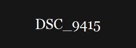 DSC_9415