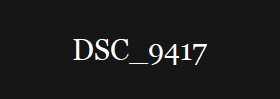 DSC_9417