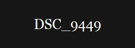 DSC_9449