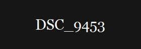 DSC_9453