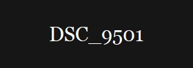 DSC_9501