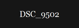 DSC_9502