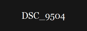 DSC_9504