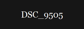 DSC_9505