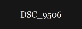 DSC_9506