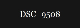 DSC_9508