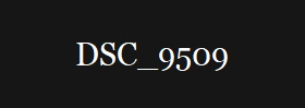 DSC_9509