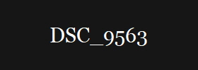 DSC_9563