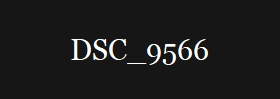 DSC_9566