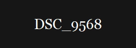 DSC_9568