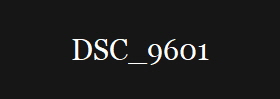 DSC_9601