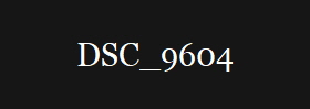 DSC_9604