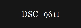 DSC_9611