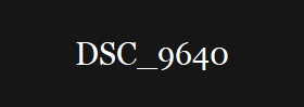 DSC_9640