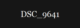 DSC_9641