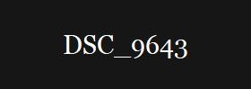 DSC_9643