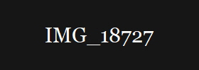IMG_18727