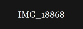 IMG_18868