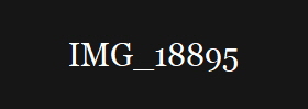 IMG_18895
